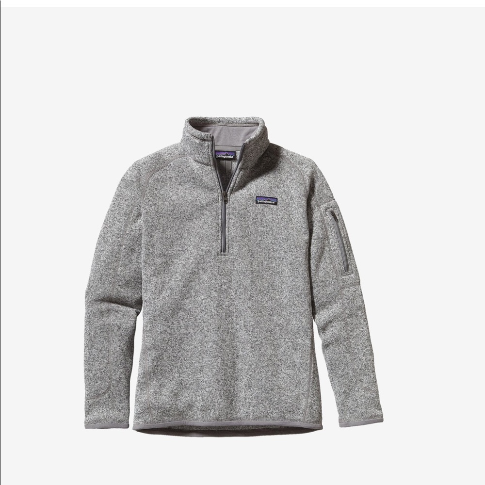 Patagonia Birch White Fleece Pullover